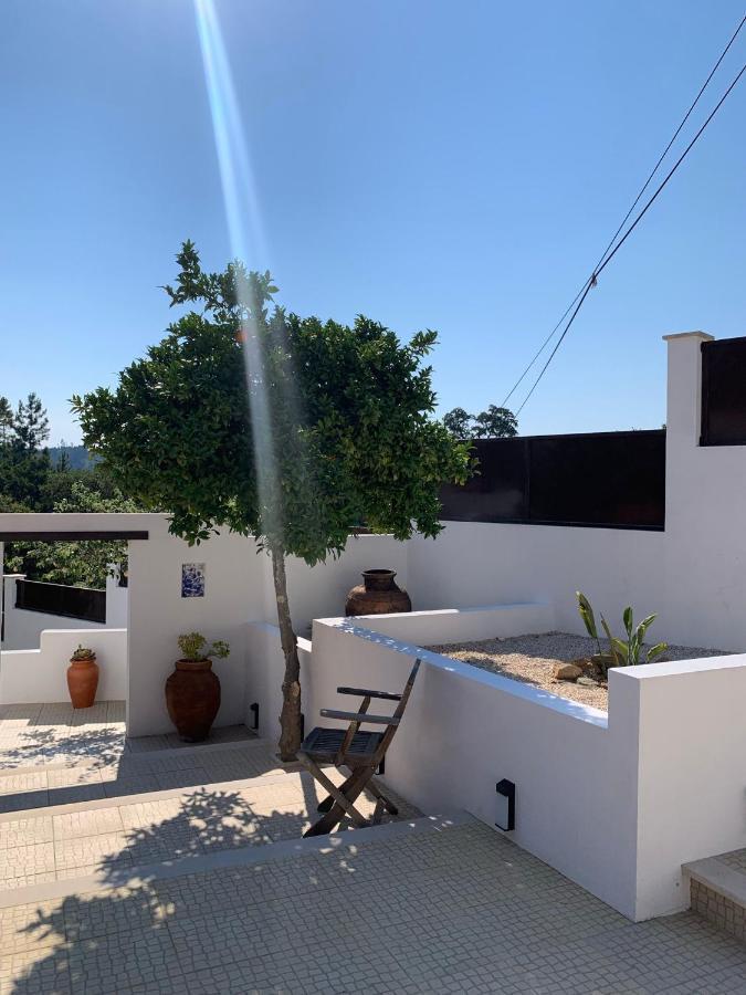 Bed and Breakfast Casa Da Oliveira Pedrogao Grande Exteriér fotografie