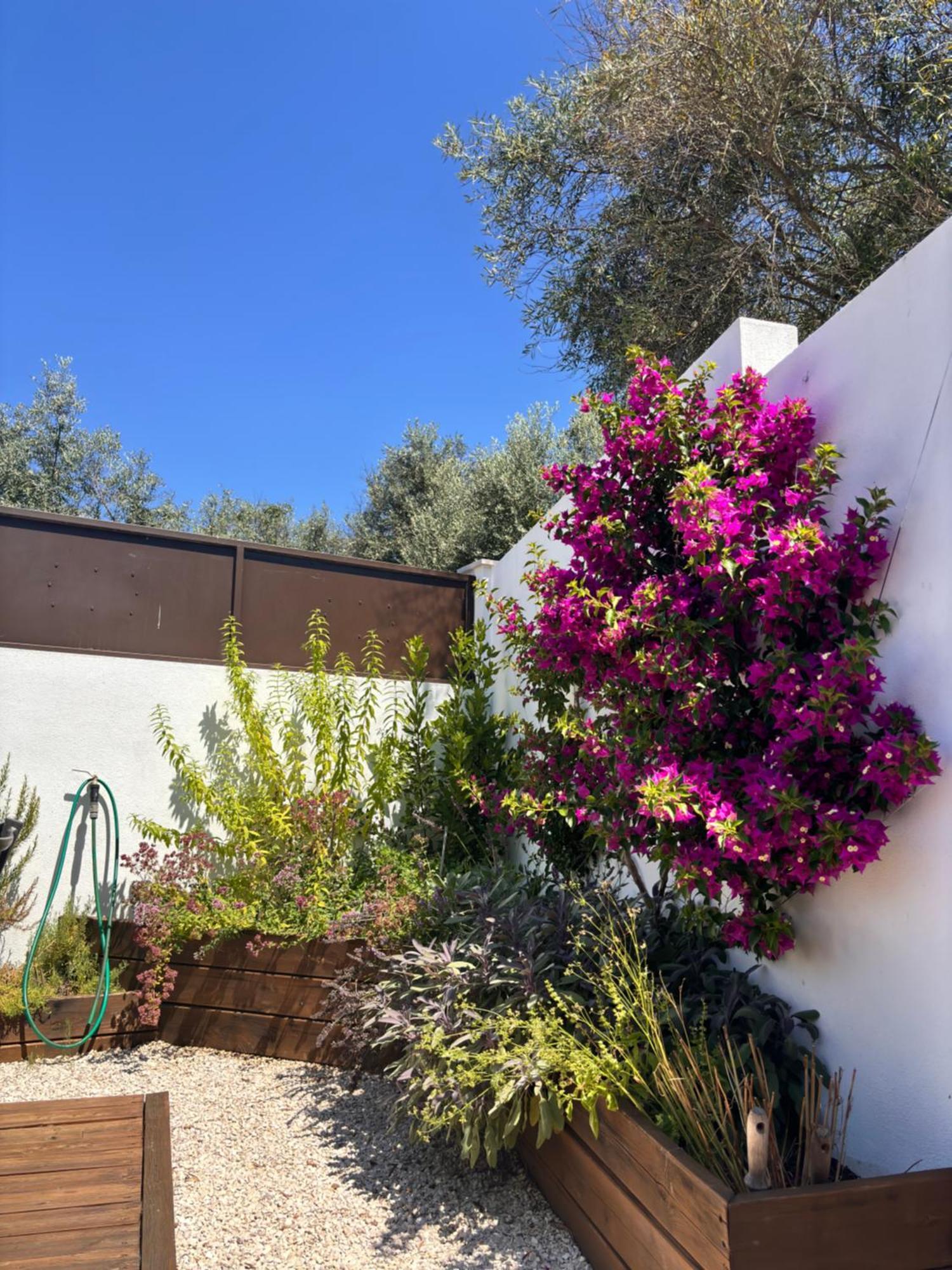 Bed and Breakfast Casa Da Oliveira Pedrogao Grande Exteriér fotografie