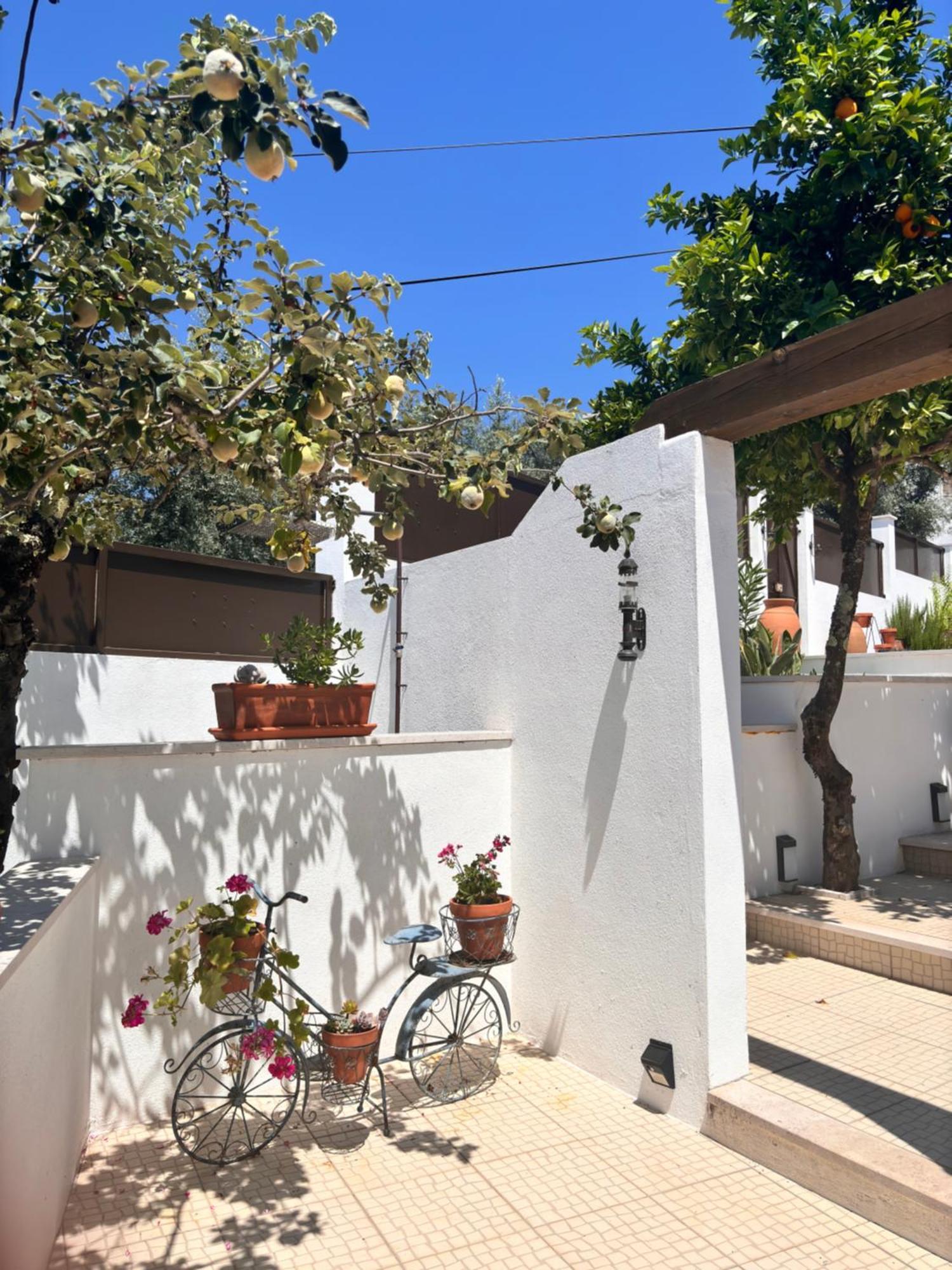 Bed and Breakfast Casa Da Oliveira Pedrogao Grande Exteriér fotografie
