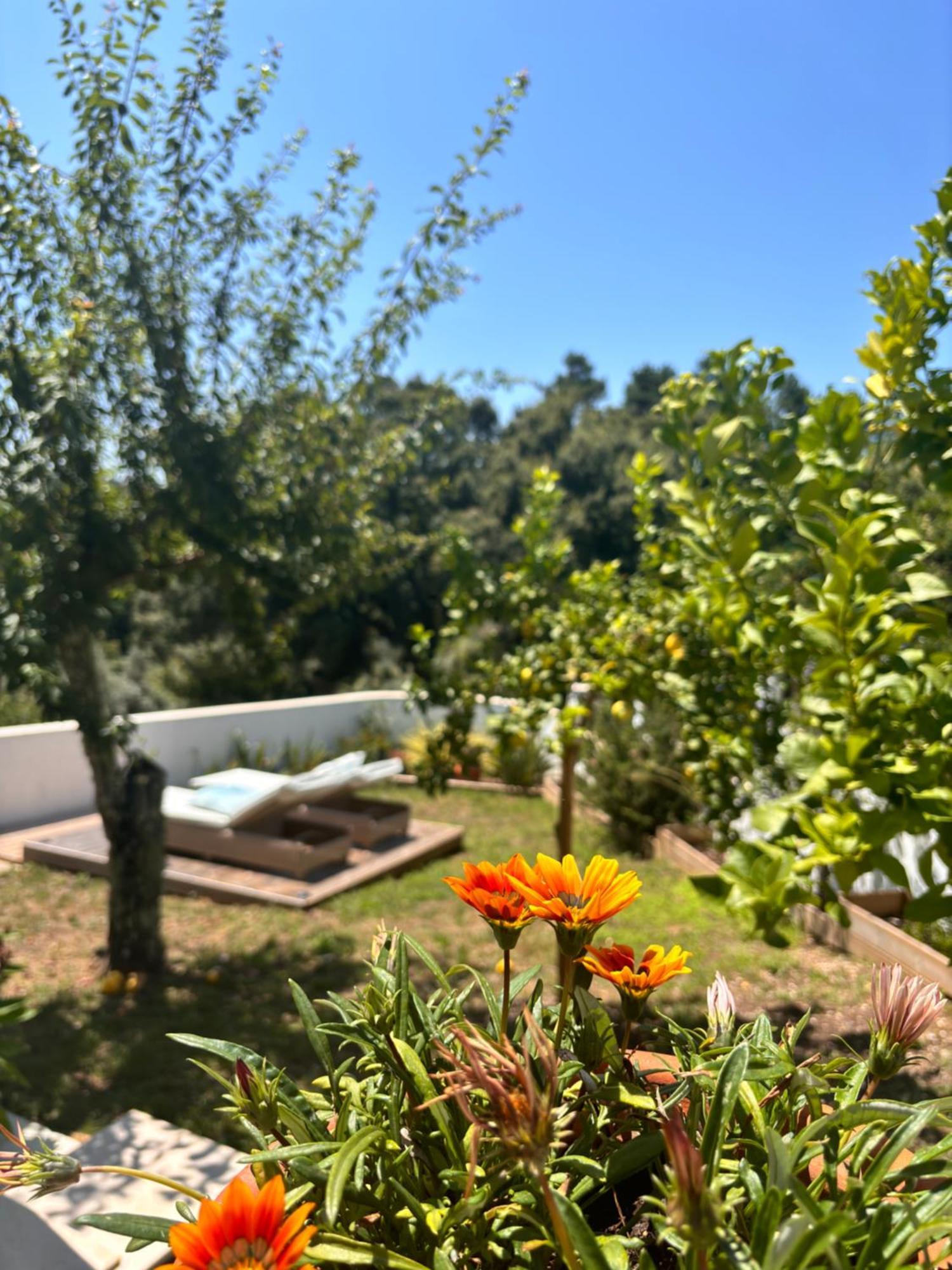 Bed and Breakfast Casa Da Oliveira Pedrogao Grande Exteriér fotografie